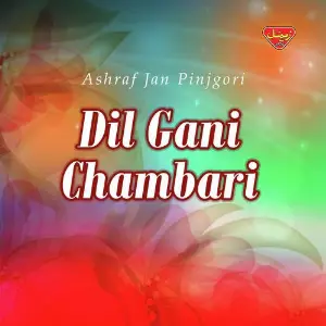 Dil Gani Chambari image