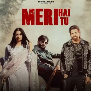 Meri Hai Tu (feat. Fiza Choudhary) image