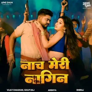 Naach Meri Nagin image