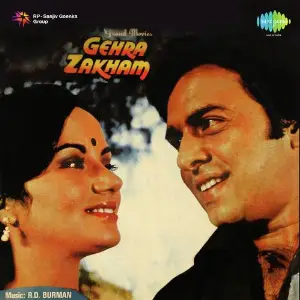 Gehra Zakham image