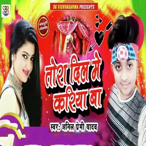 Tora Dil Me Kariya Ba image