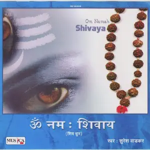 Om Namah Shivaya image