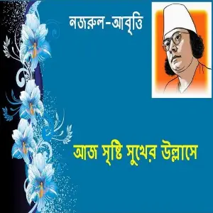 Aj Sristi Sukher Ullase image
