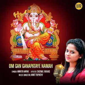 Bapu Goswami Special Amit Tripathy