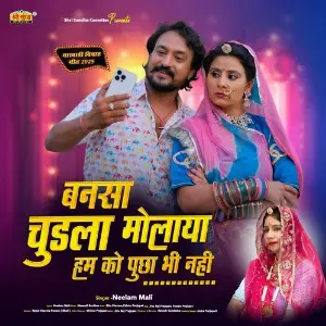 Bansa Chudla Molaya Hamko Pucha Bhi Nhi image