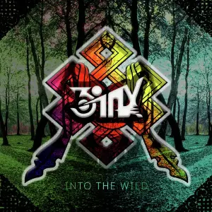 Into the Wild image