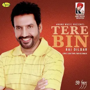 Tere Bin image