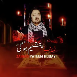 Zainab Yateem Hogayi image