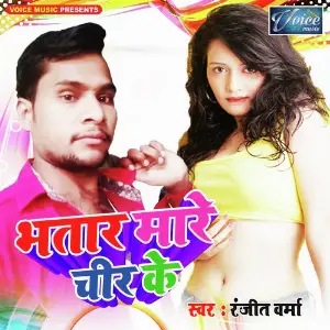 Bhatar Mare Chir Ke image