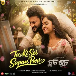 Tu Ki Sei Sapan Pari (From Chhaki Suna) image