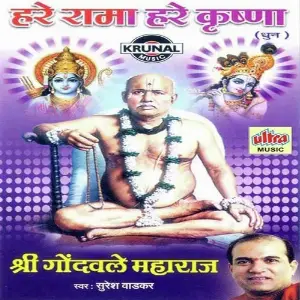 Hare Rama Hare Krushna image