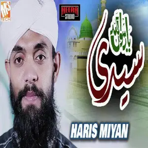 Syedi Ya Rasool Allah - Single image