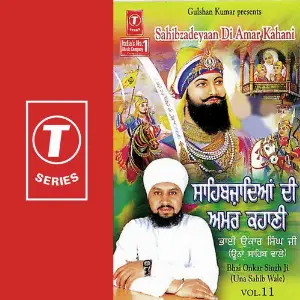 Sahebzadeya Di Amar Kahani image