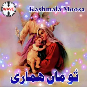 Tu Maa Hamari image