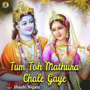 Tum to Mathura Chale Gaye image