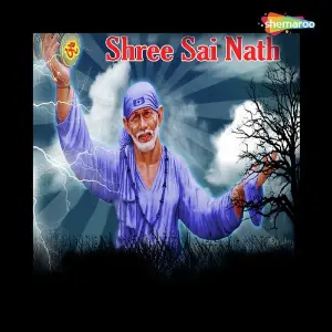 Shree Sai Nath image