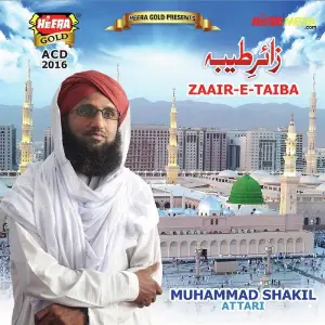 Zaair E Taiba image