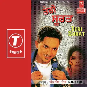 Teri Surat image