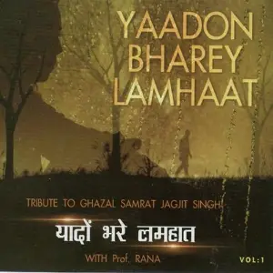 Yaadon Bharey Lamhaat image