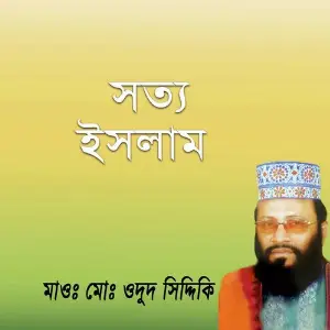 Sotto Islam image