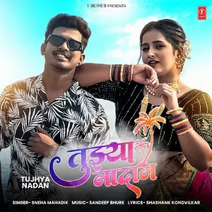 Tujhya Nadan image