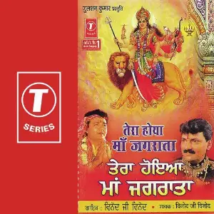 Tera Hoya Maa Jagrata image