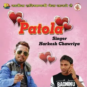 Patola image