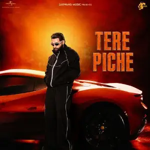 Tere Piche image