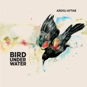 Bird Under Water image