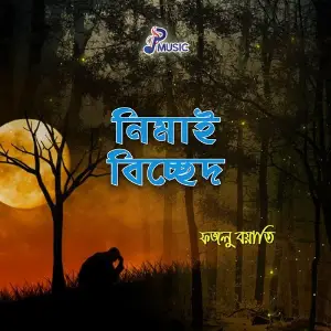 Nimai Bicched image
