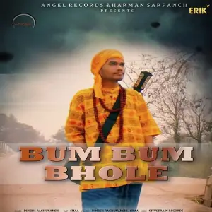 Bum Bum Bhole image