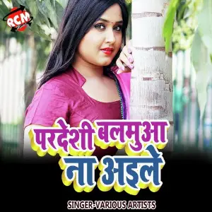 Pardeshi Balmua Na Aile image