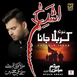 Karbala Jana image