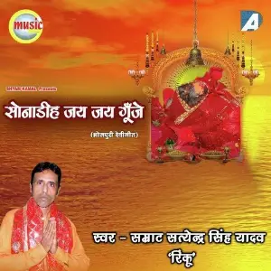 Sonadih Jai Jai Gunje image