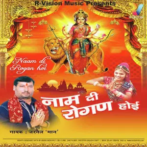 Naam Di Rogan Hoi image