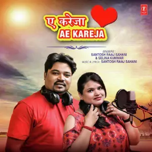 Ae Kareja image
