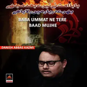 Baba Ummat Ne Tere Baad Mujhe image