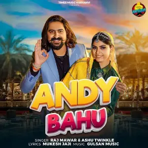 Andy Bahu image