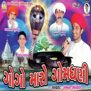 Gogo Maaro Gomdhani image