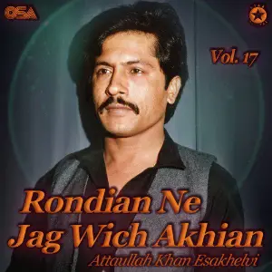 Rondian Ne Jag Wich Akhian, Vol. 17 image