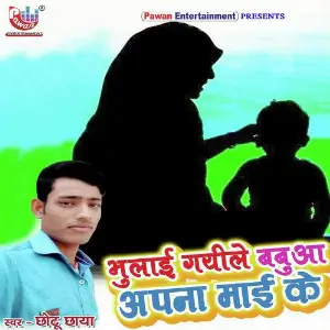 Bhulai Gaile Babua Apna Mai Ke image