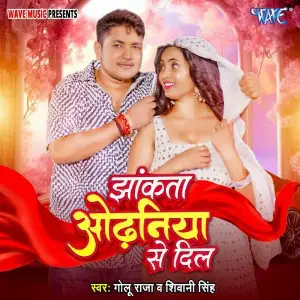 Jhankata Odhaniya Se Dil image