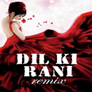 Dil Ki Rani Remix image