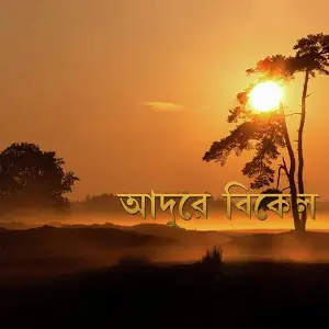 Adure Bikel image