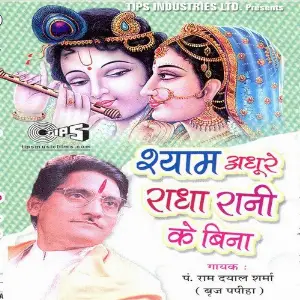 Shyam Adhure Radha Rani Ke Bina image
