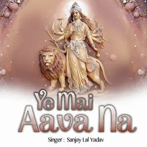 Ye Mai Aava Na image