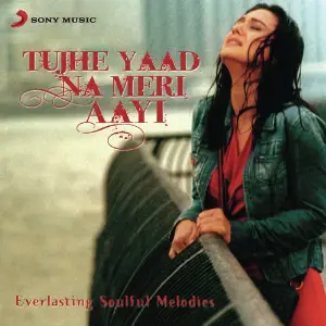 Tujhe Yaad Na Meri Aayee image