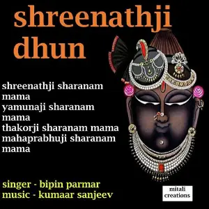 Shreenathji Dhun image