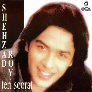 Teri Soorat image