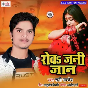 Rowa Jani Jaan image
